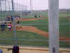 MarkSports_0050.jpg (10699 bytes)