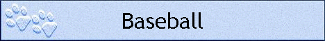 Baseball