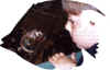monterey aquarium2001b.jpg (46762 bytes)