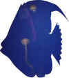 monterey aquarium2001f.jpg (43590 bytes)