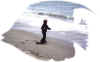 monterey aquarium2001k.jpg (70901 bytes)