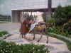 CrystalCathedral_0023.jpg (55919 bytes)