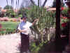 Mission_San_Juan_Capistrano_0014.jpg (53359 bytes)