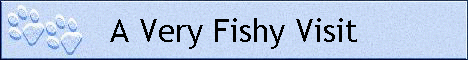 A Very Fishy Visit
