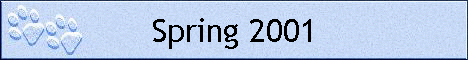 Spring 2001
