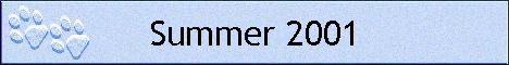 Summer 2001