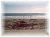 Misc_pictures_0027a.jpg (8302 bytes)