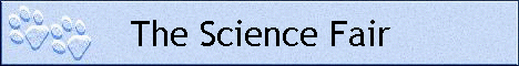 The Science Fair